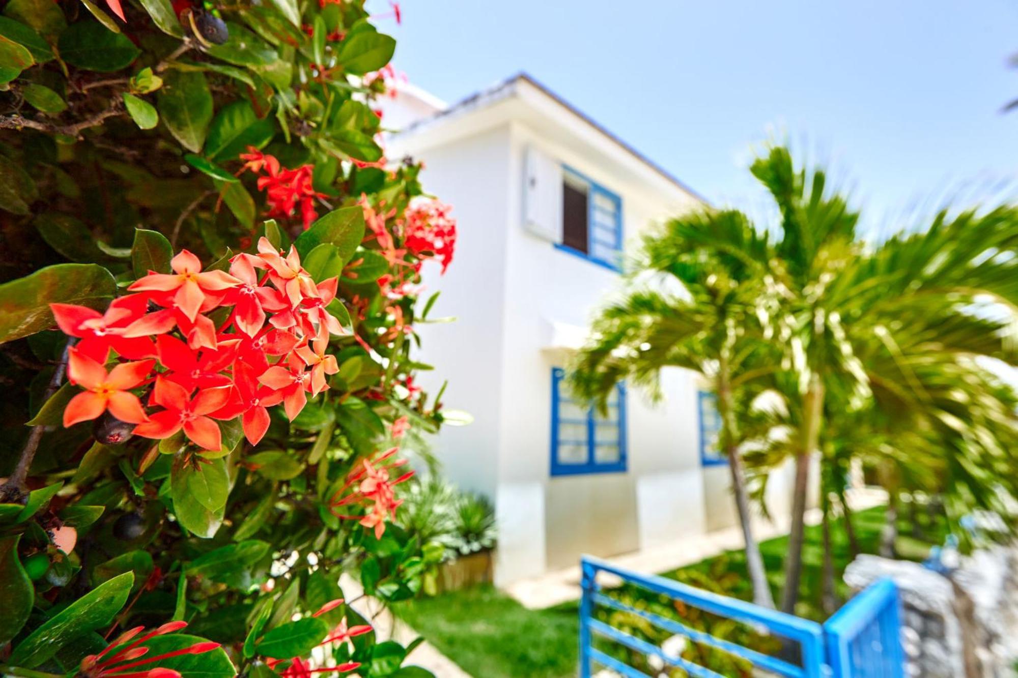 La Flor Del Caribe Beach & Spa Punta Cana Cameră foto
