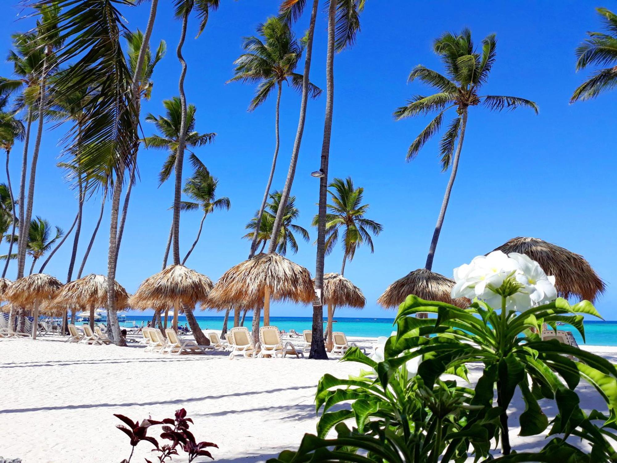 La Flor Del Caribe Beach & Spa Punta Cana Cameră foto